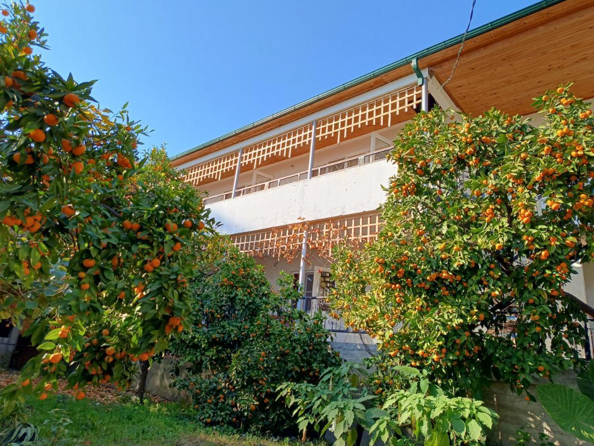 Inzhir Guest House New Athos Екстер'єр фото