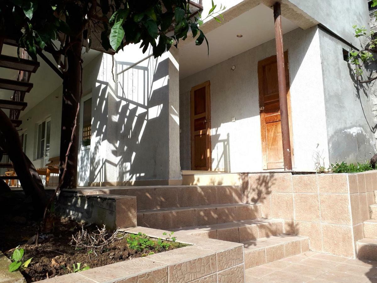 Inzhir Guest House New Athos Екстер'єр фото