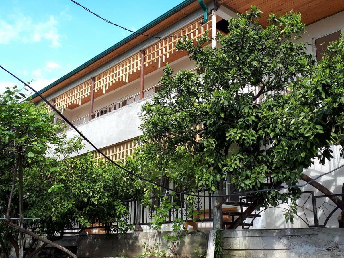 Inzhir Guest House New Athos Екстер'єр фото