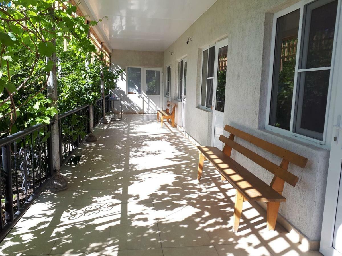Inzhir Guest House New Athos Екстер'єр фото