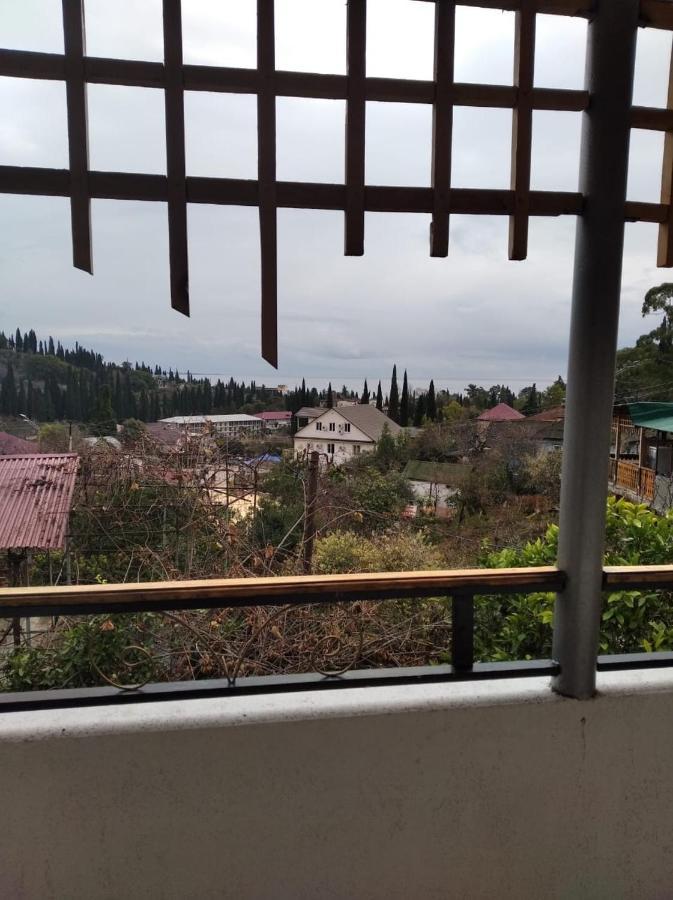 Inzhir Guest House New Athos Екстер'єр фото